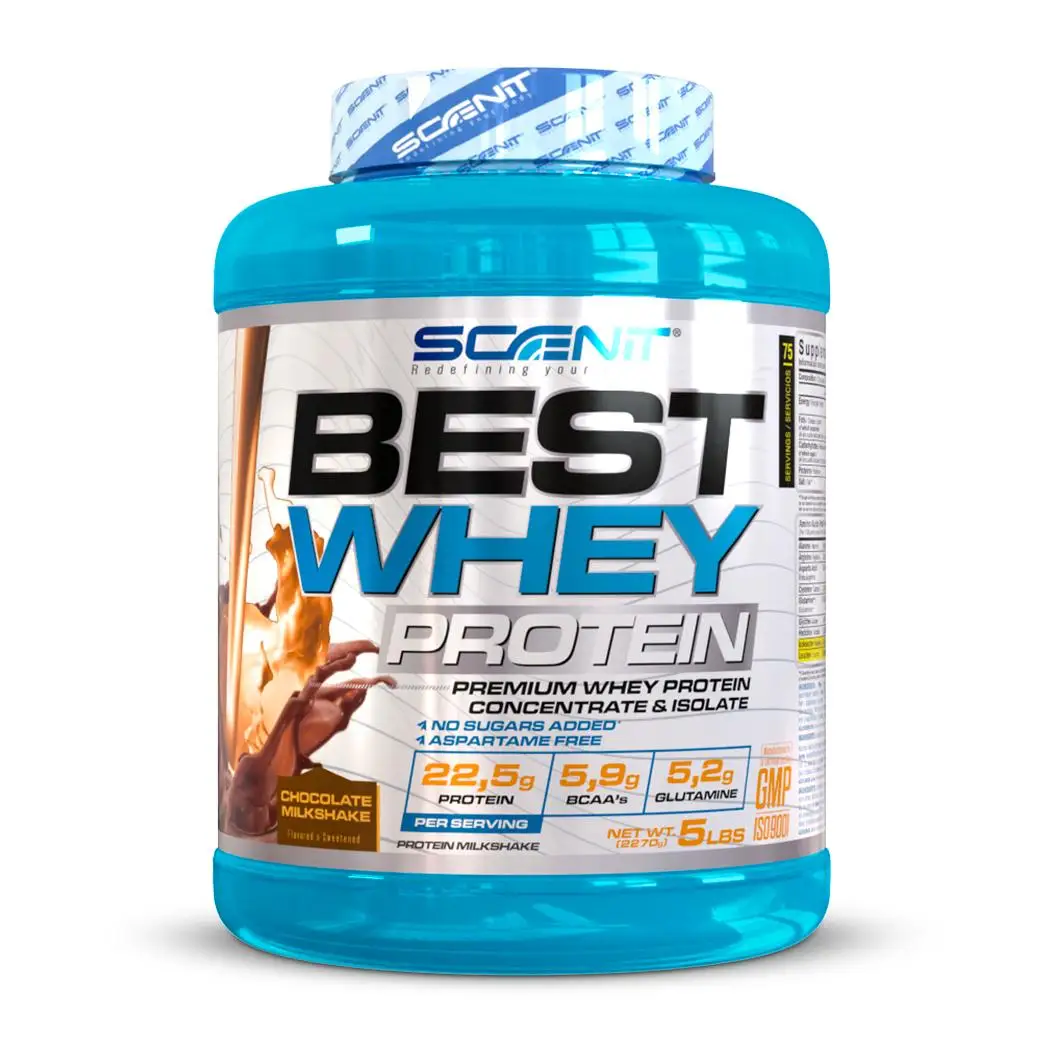 Proteína Whey Best Whey Protein